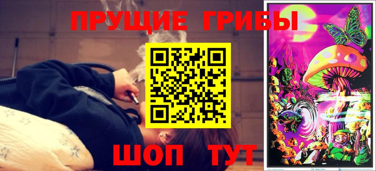 Чехов  где найти   Вход с VPN  Галлюциногенные грибы Magic Shrooms 